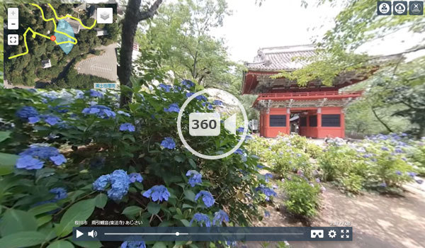 桜川市の雨引観音のあじさいの360度動画