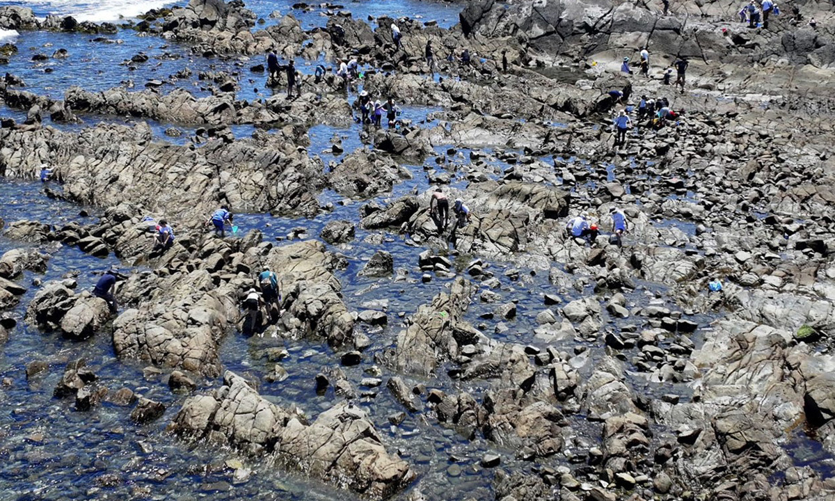 磯崎海岸・中生代白亜紀層岩礁群付近の磯遊び・海遊びおすすめVRツアー