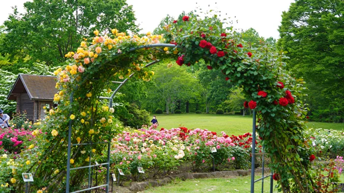 茨城県那珂市の茨城県植物園のバラ園入口