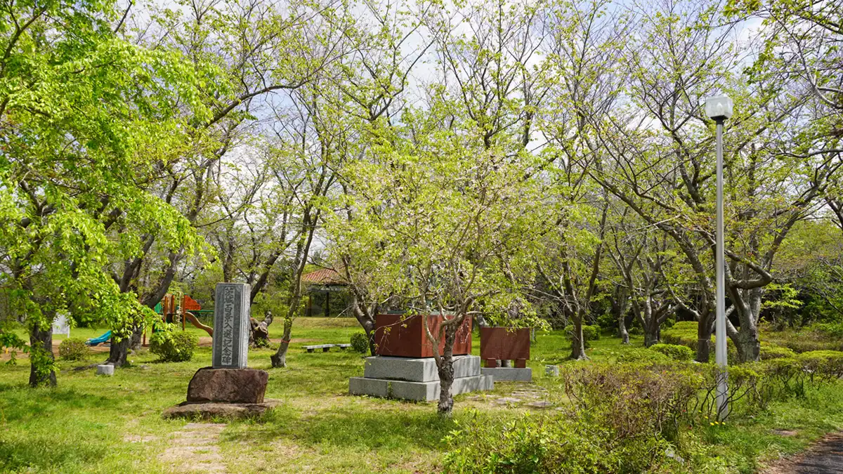 潮来市の権現堂公園南側の茨城百景の碑と桜の様子写真