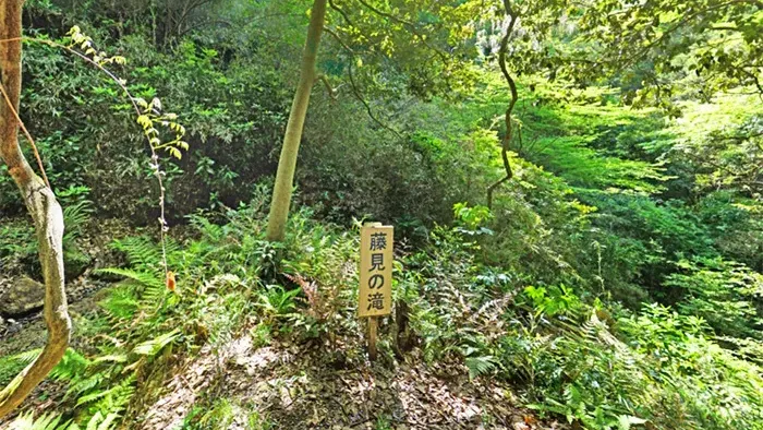 茨城県かすみがうら市おすすめスポット藤見の滝の案内VRツアー