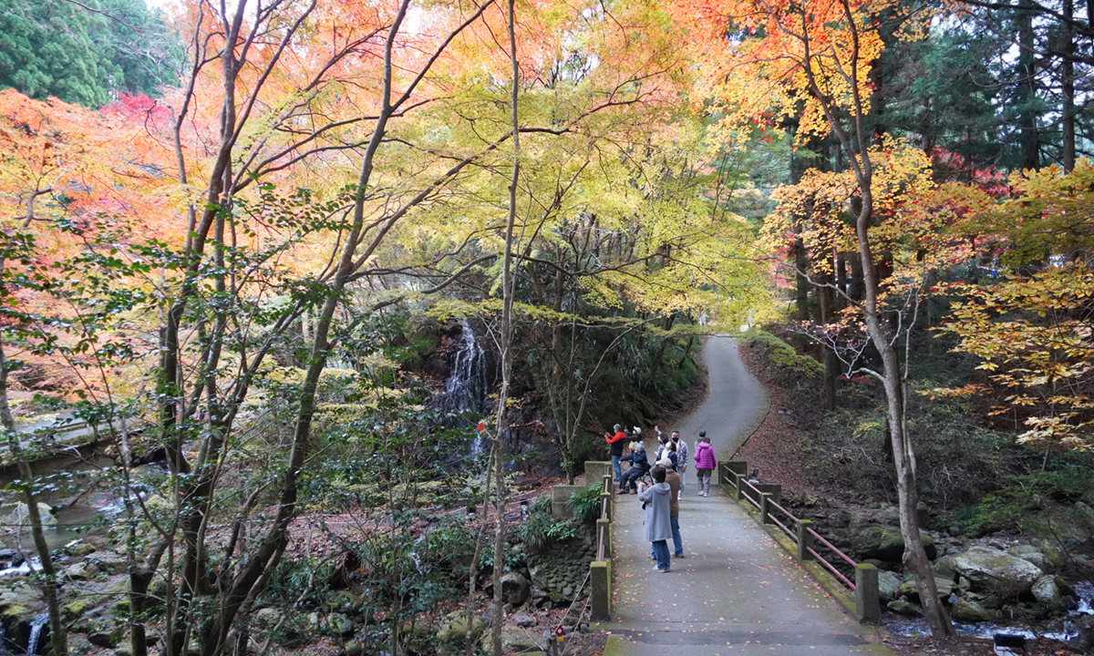 茨城県北茨城市の花園神社の紅葉