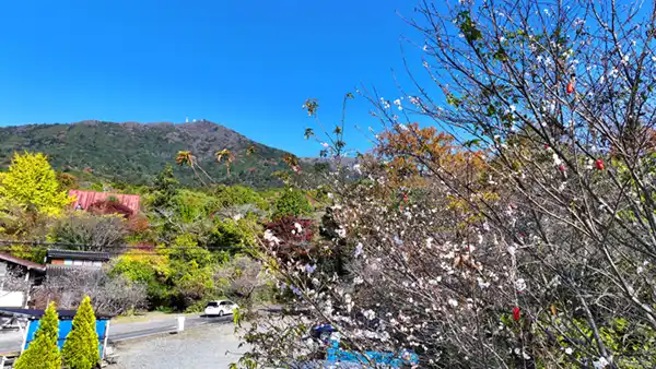 がま公園付近の上空からの筑波山の紅葉