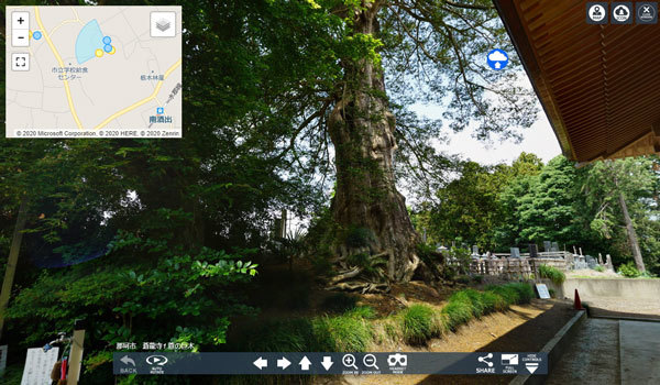 茨城県那珂市の珍木巨木おすすめスポットの蒼龍寺