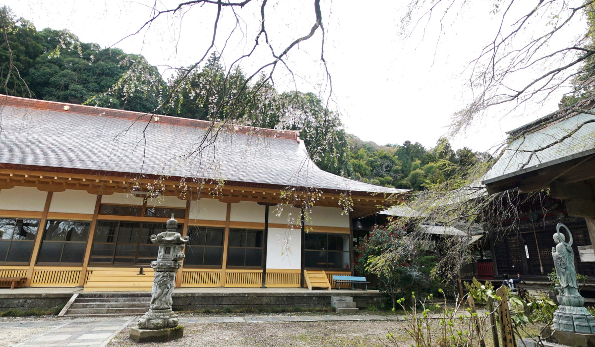 茨城県のしだれ桜で有名な小松寺