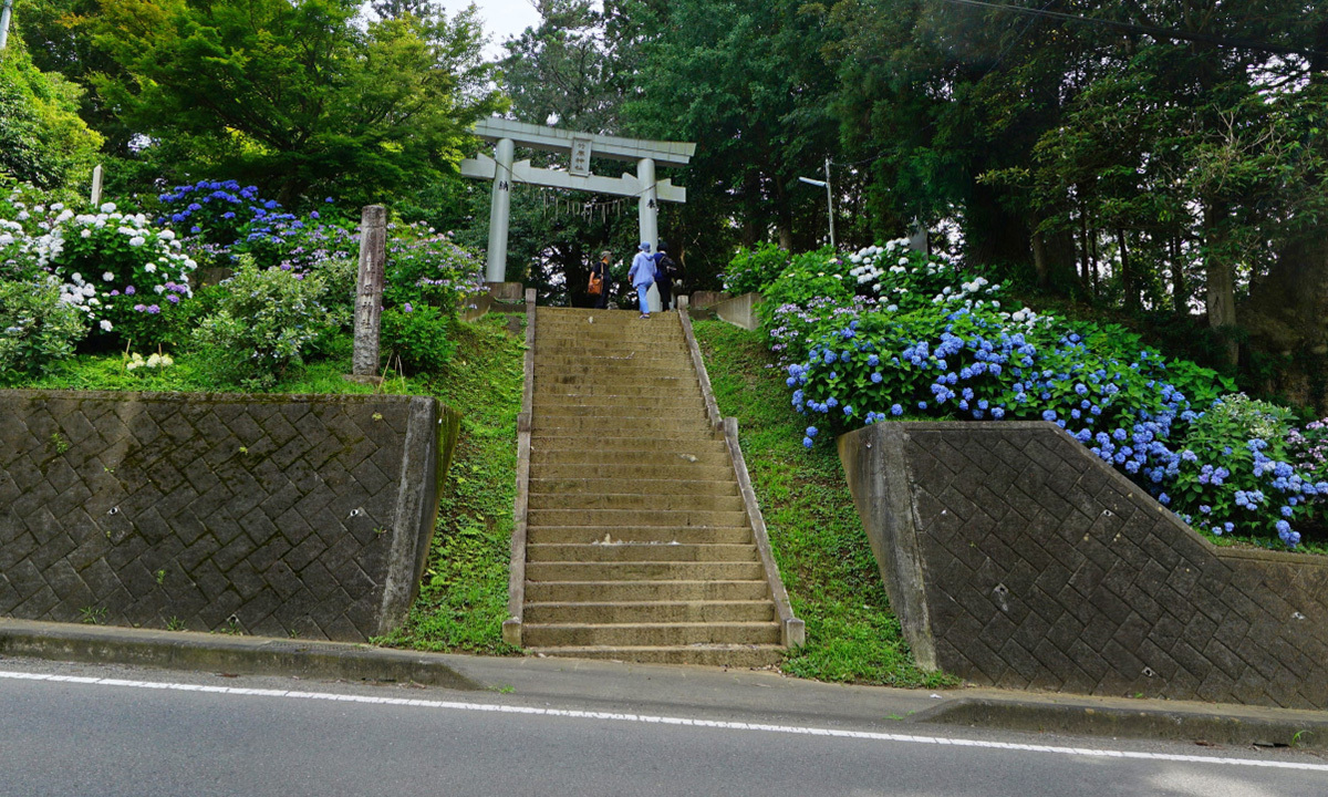 茨城県小美玉市の観光名所の竹原神社のあじさい