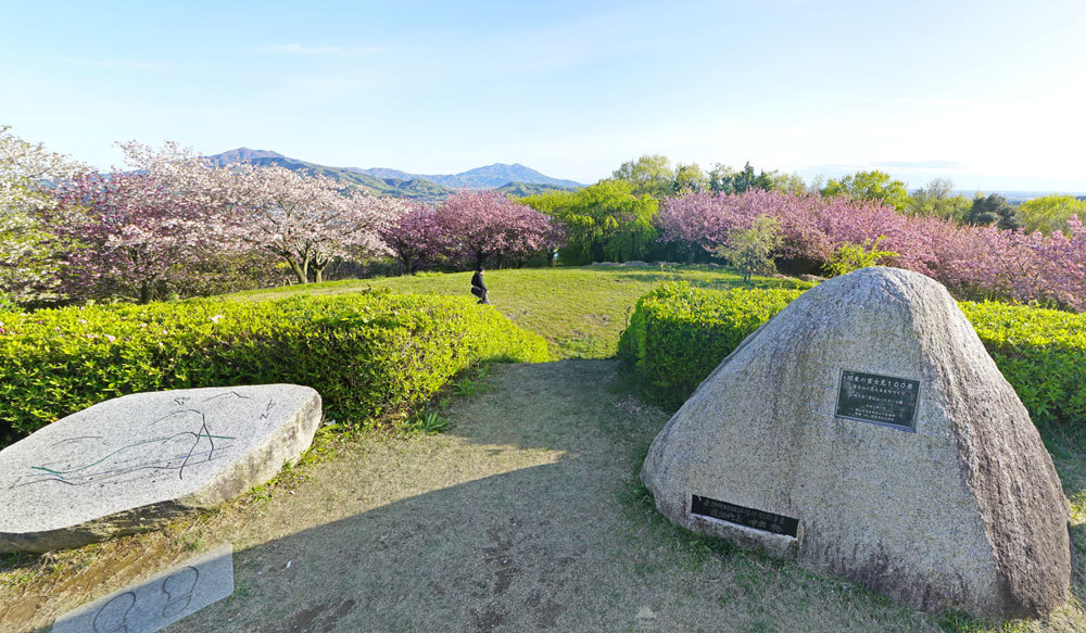 茨城県桜川市の桜・自然の観光名所の富谷山ふれあい公園