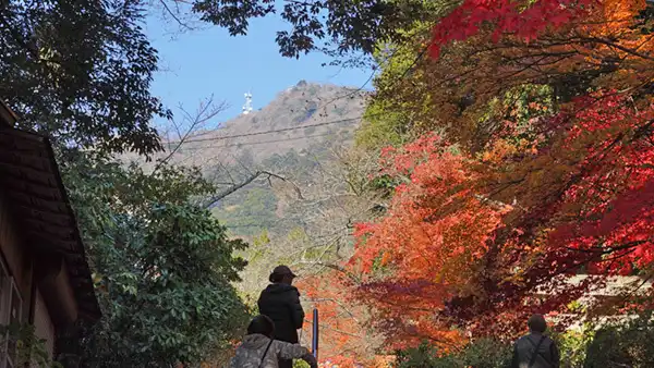 筑波山神社の神文付近のVRツアー