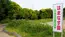 鹿嶋市の大野潮騒はまなす公園・ハマナス園のハマナス開花写真