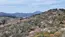 かすみがうら市の三ツ石森林公園の浅間山の山頂付近の山桜景観の空撮写真