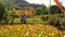 2024年5月2日のいばらきフラワーパークの季節の花の開花の景観