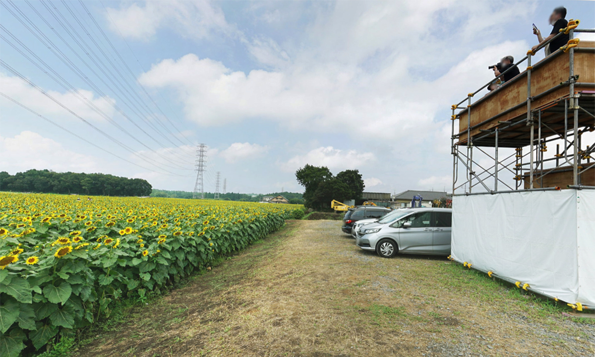 茨城県那珂市のひまわり畑の見晴らし台