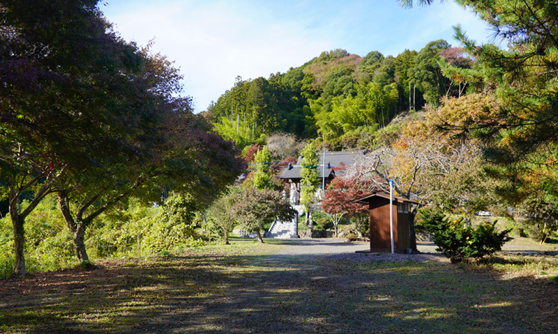 大子町の常明寺の紅葉状況