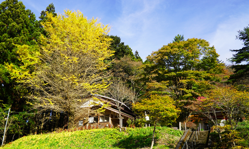 八溝山の日輪寺の紅葉の状況