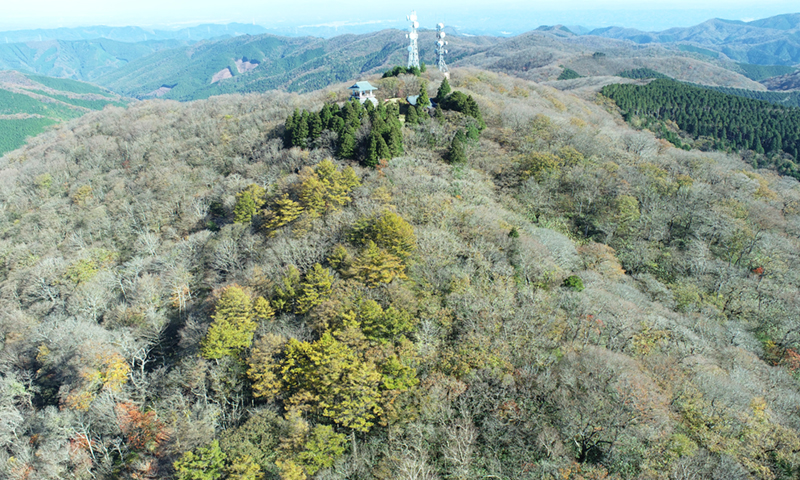 大子町の八溝山の山頂の紅葉の様子