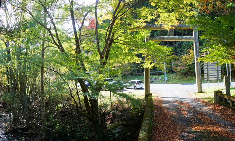 大子町の八溝山林入口の鳥居付近の紅葉状況