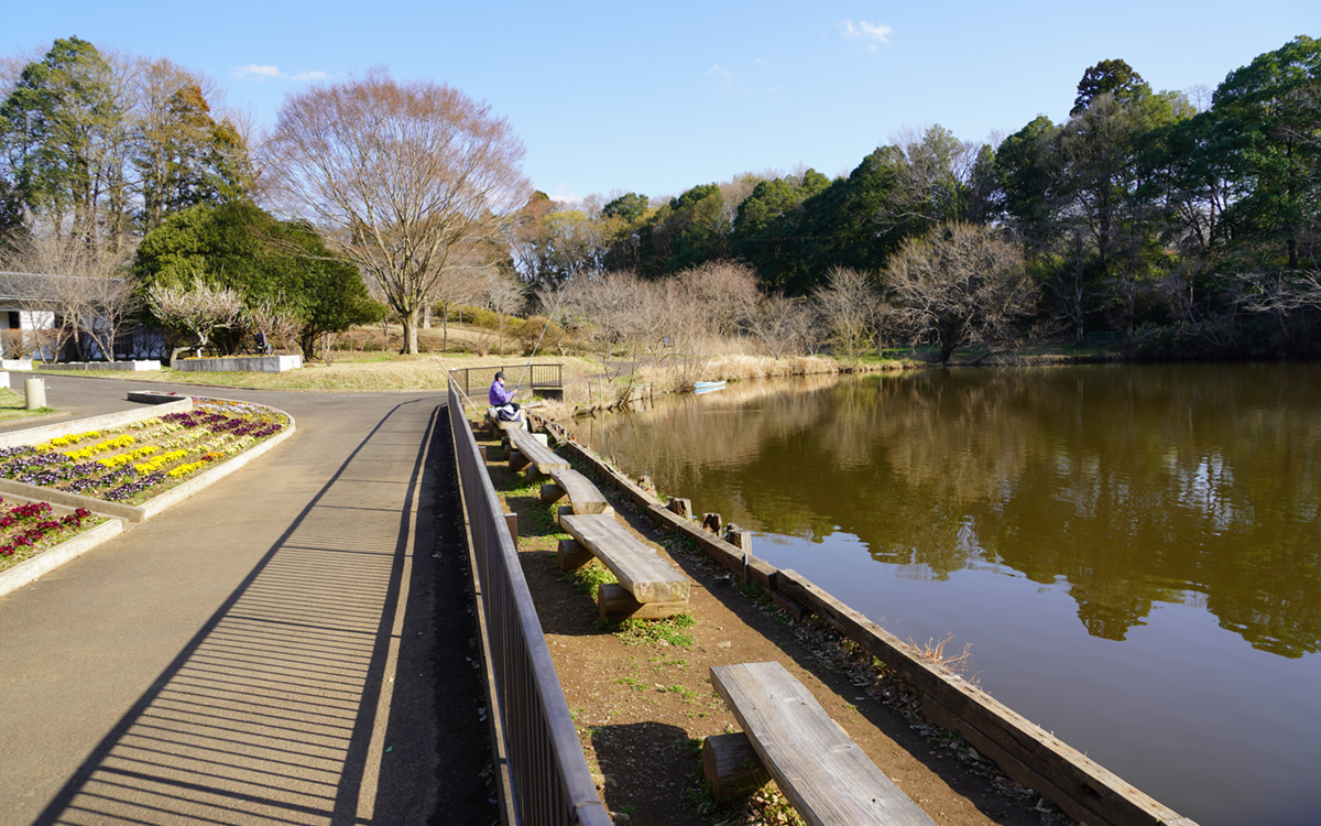 常総市の水海道あすなろ里の釣堀池の様子