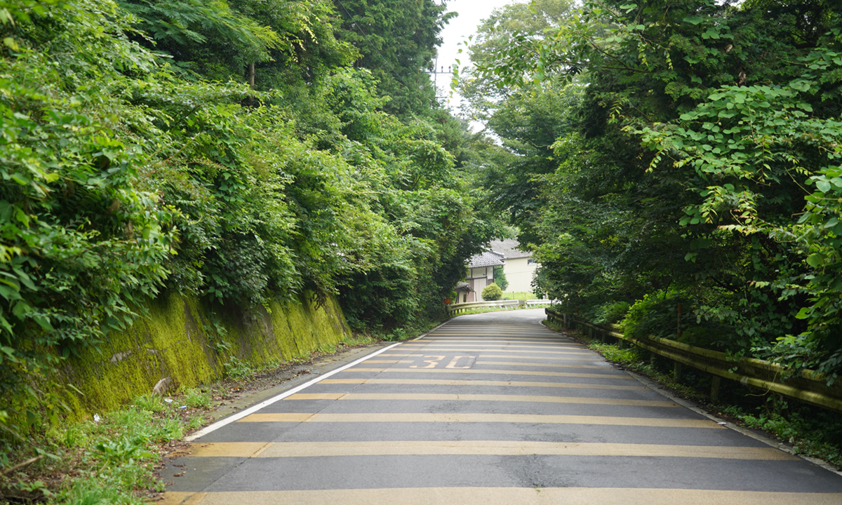 茨城県桜川市のタマアジサイ群生地の様子