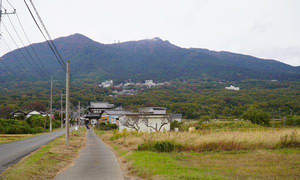 筑波山の東側山麓からの紅葉状況