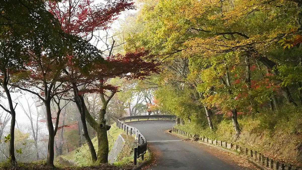筑波山麓の一乗院真福寺の紅葉状況