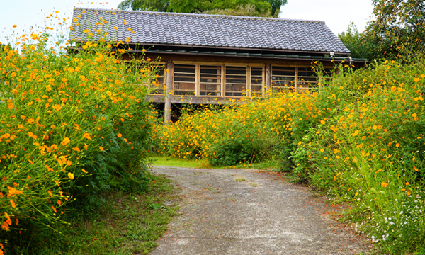 農家の入口・養蜂小屋の様子の写真