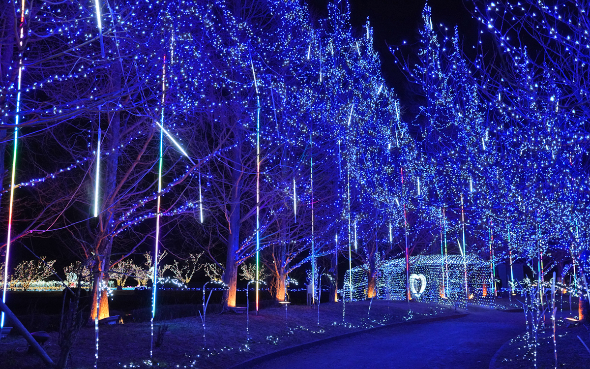 公園の東側の冬エリアのイルミネーション