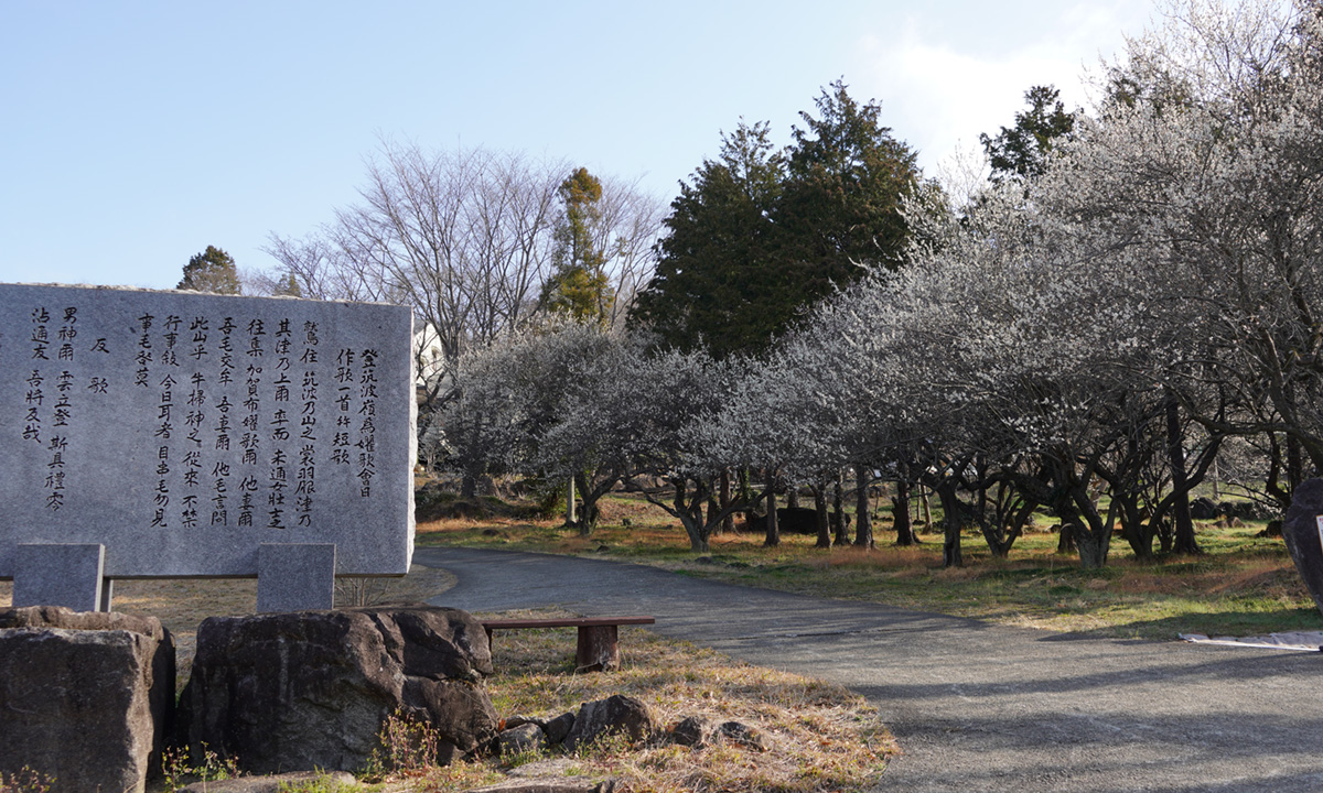 筑波ふれあいの里の実習館建物の入口の梅林