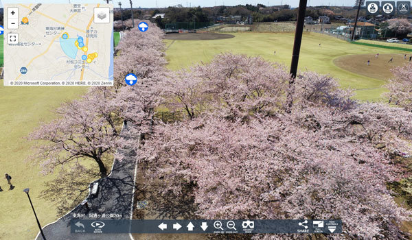 東海村の阿漕ヶ浦公園の桜VRツアー