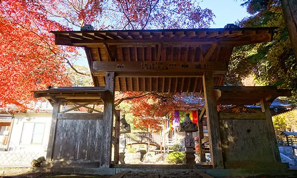 大子町町付の慈雲寺の参門の景紅葉景観