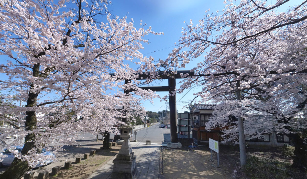 茨城県下妻市の桜 花見の名所 おすすめスポット 茨城vr ツアー 茨城県下妻市の桜 花見の名所 おすすめスポット 茨城vr ツアー