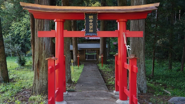 Scenery photo of Ogata Shrine's red torii gate