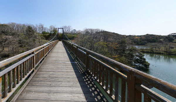 潮来市おすすめ観光スポットの茨城県水郷県民の森の吊橋