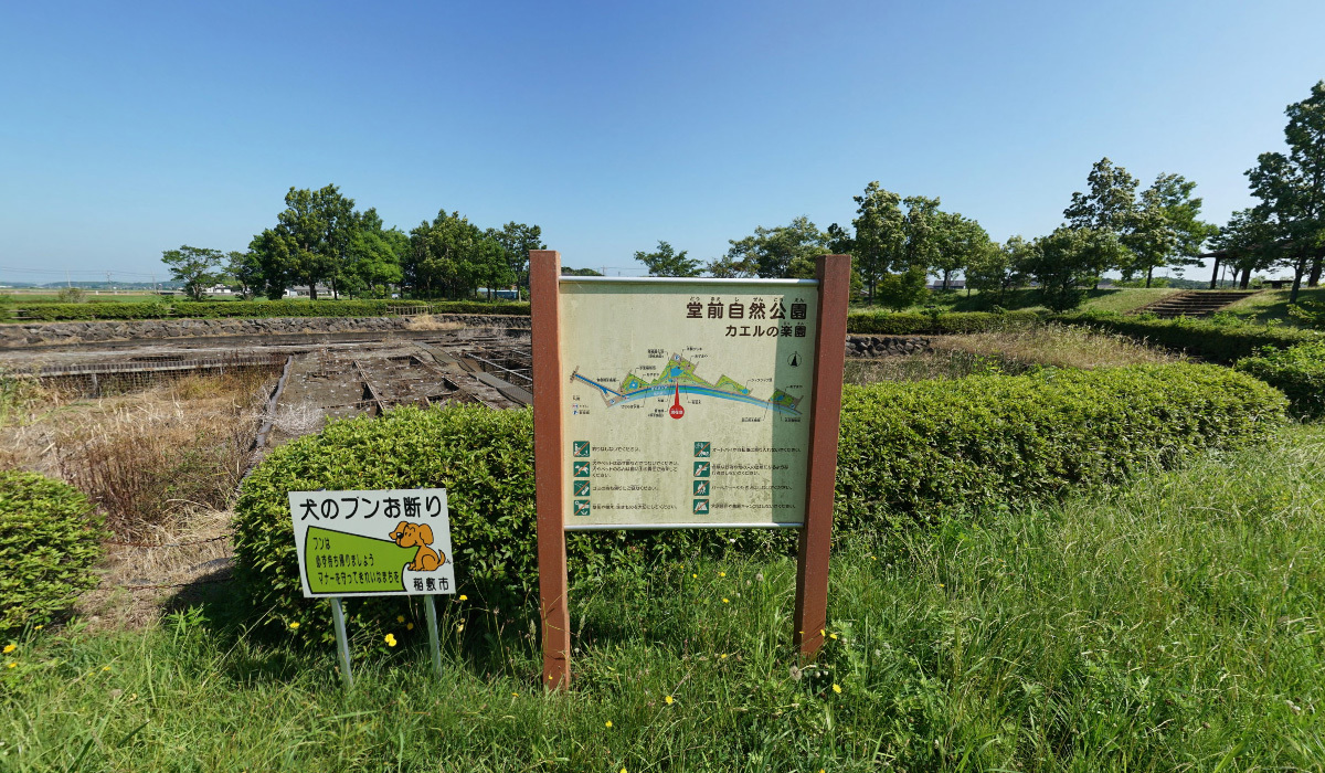 稲敷市おすすめ観光スポット堂前自然公園(カエルの公園)