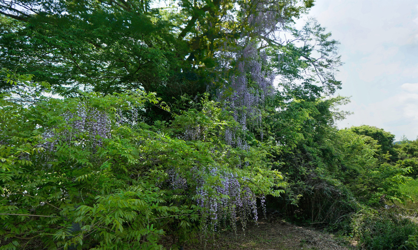 茨城県水戸市藤内神社の観光VRツアー