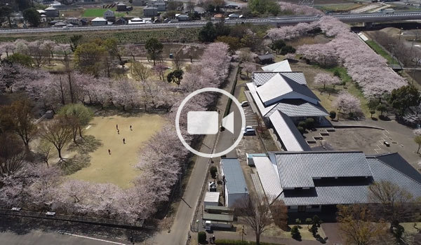 五霞町おすすめ花見スポットのふれあいの里公園の空撮観光動画