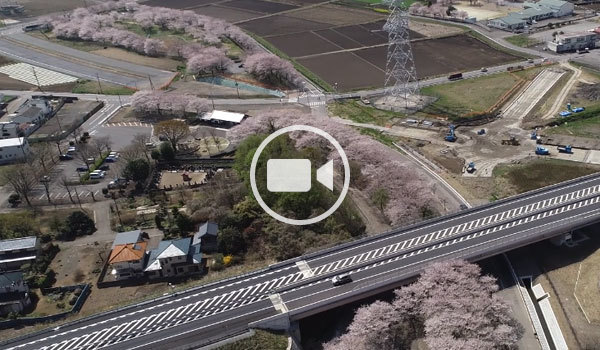 五霞町おすすめスポットの圏央道両側桜の空撮観光動画