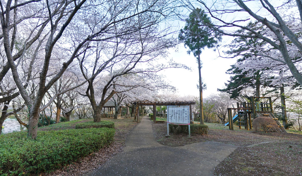 土浦市のおすすめ公園スポットふるさとの森