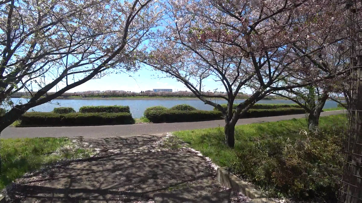 童夢公園周辺動画のサムネイル