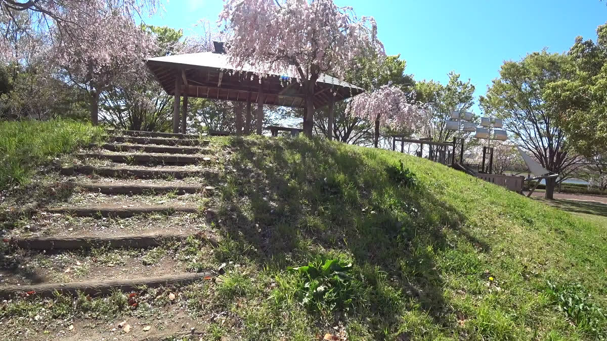 童夢公園の桜動画のサムネイル