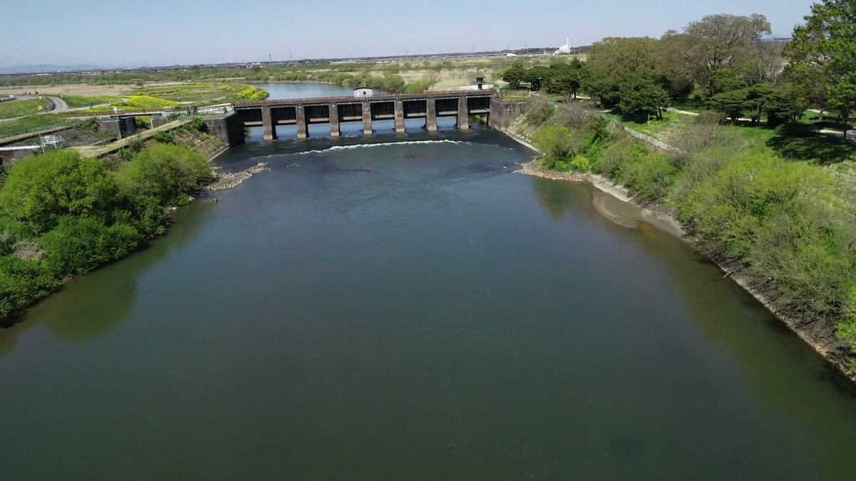 江戸川利根川分流付近空撮動画のサムネイル