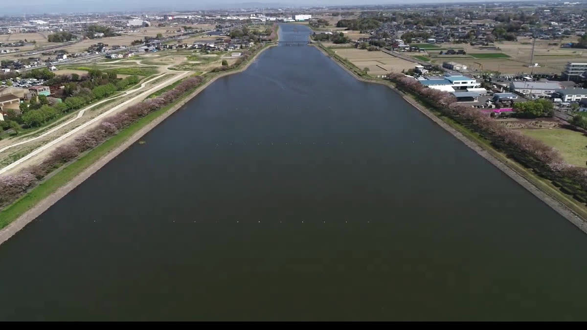 権現堂川空撮動画のサムネイル