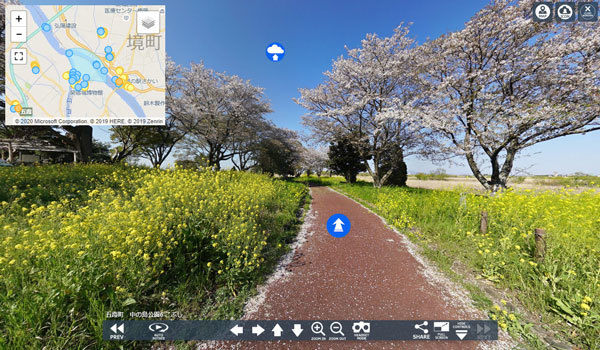 茨城県五霞町の中の島公園の桜VRツアー