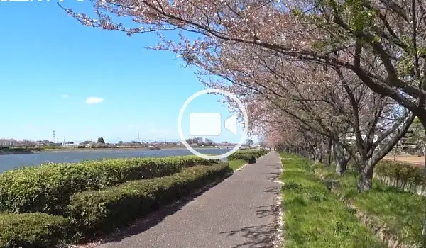 童夢公園周辺の観光動画