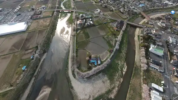 北茨城市の花園川・大北川の桜並木VRツアー