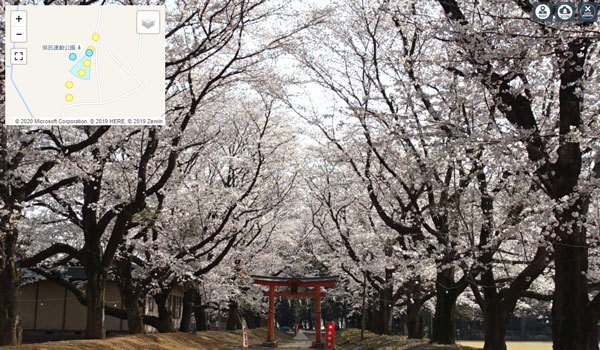 八千代町の東蕗田天満社の桜VRツアー