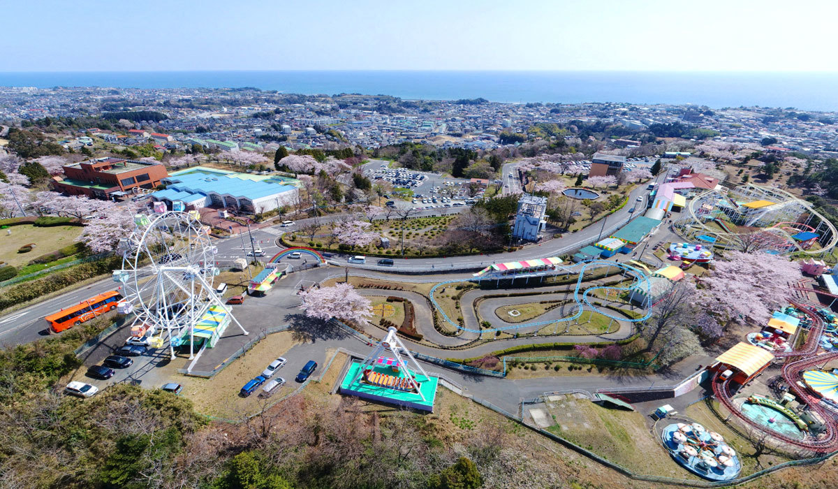 日本さくら名所100選の日立かみね公園の桜