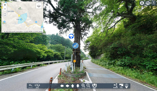 茨城県日立市の巨木おすすめスポットの一本杉
