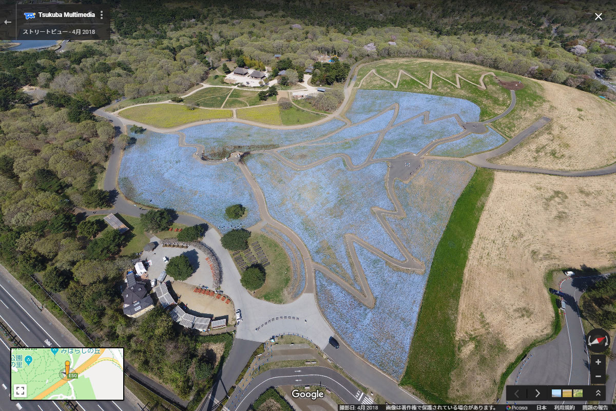 ひたちなか市国営ひたち海浜公園みはらしの丘ネモフィラおすすめ観光スポット空撮Googleストリートビュー