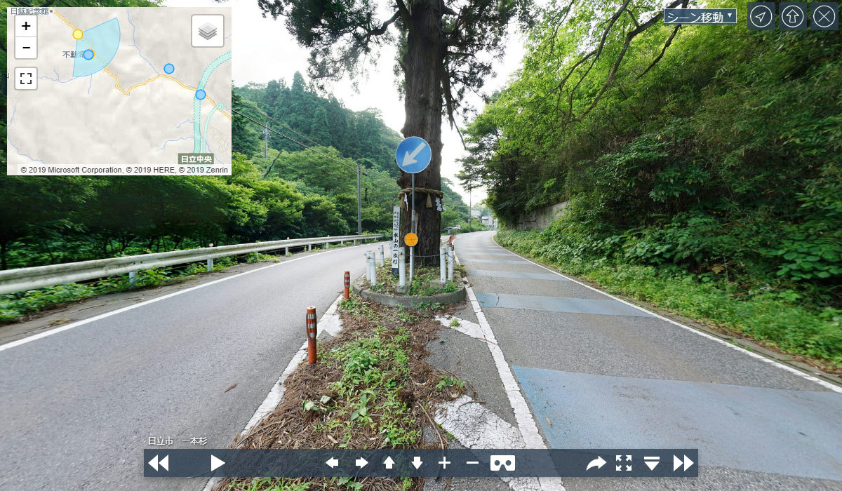 日立市の本山の一本杉