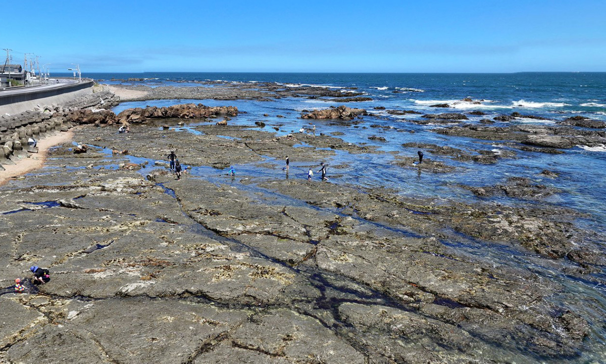 平磯海岸・高磯海岸付近の磯遊び・海遊びおすすめVRツアー